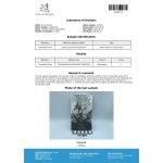 Nolvados 10 mg (Tamoxifeno) 100 Comprimidos - Image 2