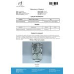 Mastelad 100 mg/ml (Drostanolona Propionato) 10ml vial - Image 2